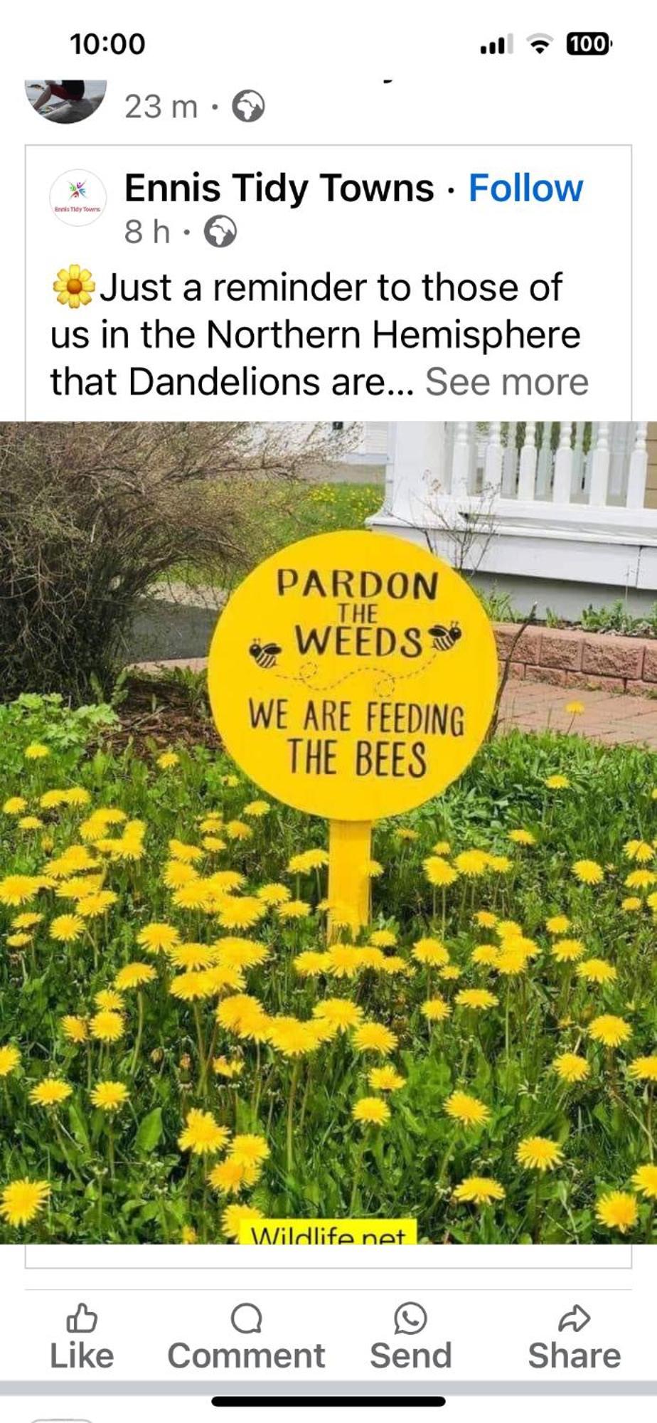 로스노우라그 The Bee Pods 빌라 외부 사진