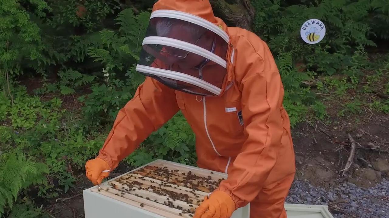 로스노우라그 The Bee Pods 빌라 외부 사진